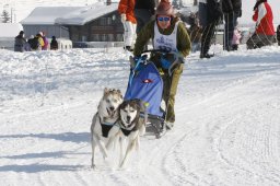 Lenk 2012 SM
